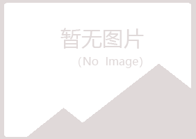 伽师县冬寒咨询有限公司